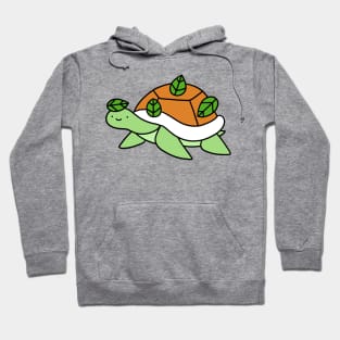 Little Leaf Turtle Hoodie